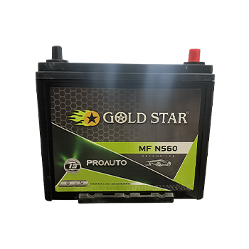 Automotive Battery